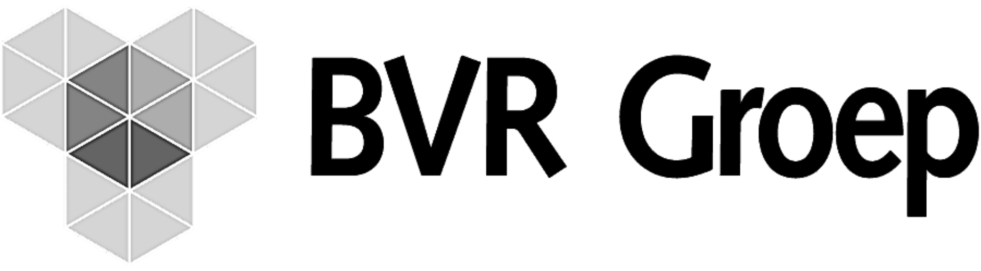 BVR groep dark